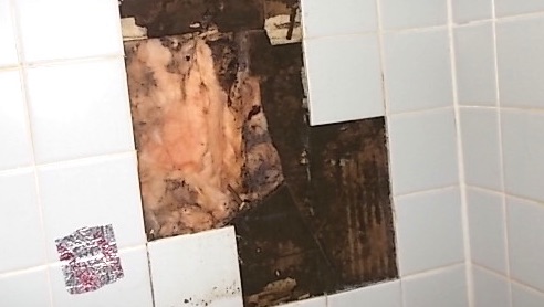 ¿Cómo busco y encuentro moho en mi casa móvil?