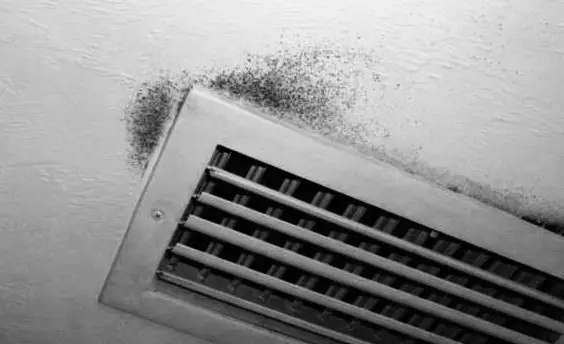 ¿Cómo busco y encuentro moho en mi casa móvil?