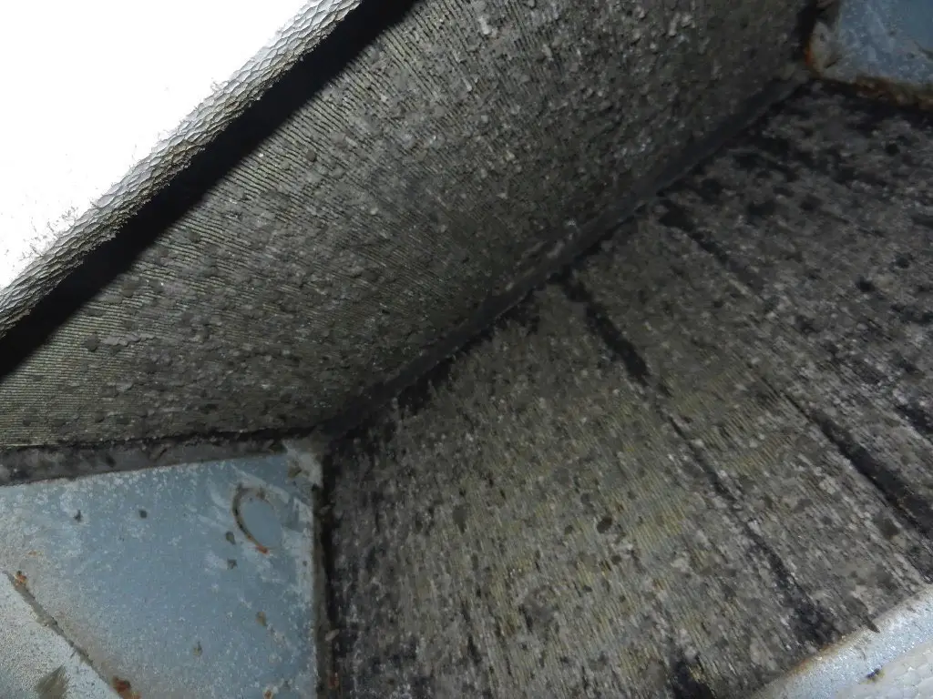 ¿Cómo busco y encuentro moho en mi casa móvil?