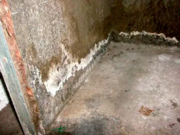 ¿Cómo busco y encuentro moho en mi casa móvil?