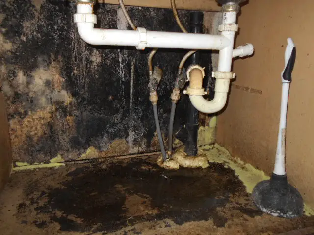 ¿Cómo busco y encuentro moho en mi casa móvil?