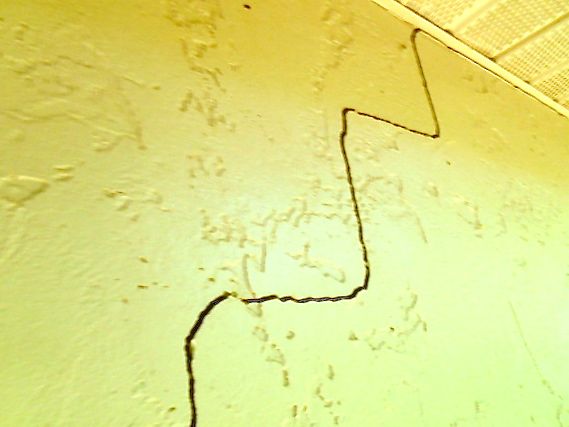 ¿Qué causa una grieta vertical en un bloque de hormigón exterior o en una pared de ladrillo?